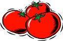 tomato